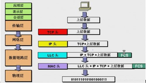 网络技术的演进与未来展望